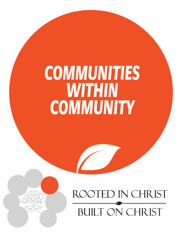 communities-within-community